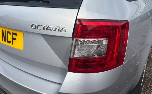 Used Skoda Octavia 2014 for sale - 76283792: Photo 69