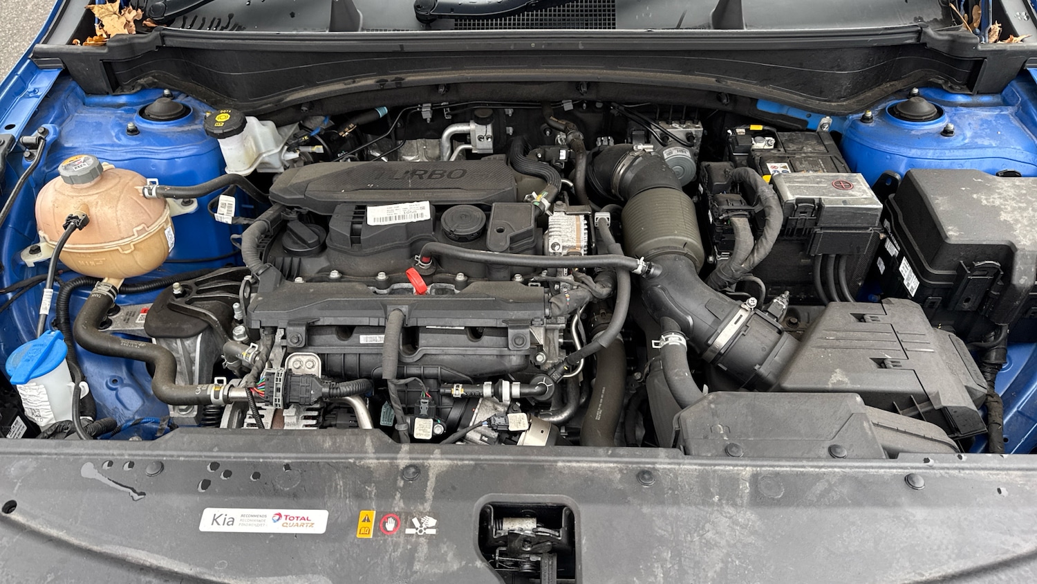 Used Kia Sportage 2022 for sale - 77918468: Photo 8