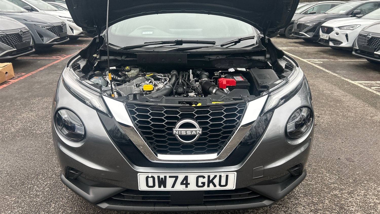 Used Nissan Juke 2024 for sale - 77431094: Photo 8