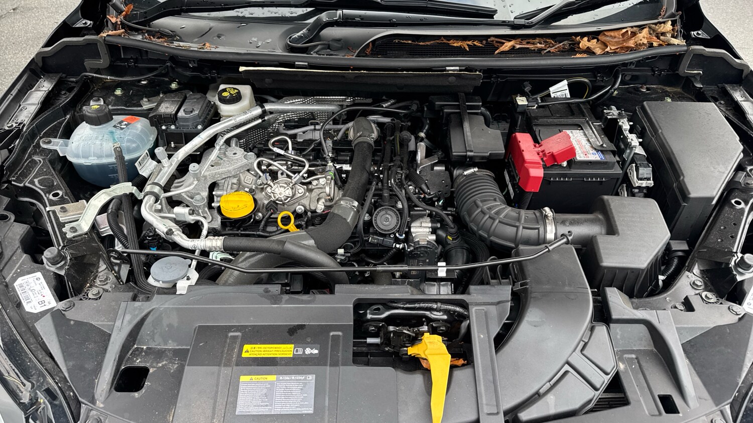 Used Nissan Qashqai 2024 for sale - 77591313: Photo 8