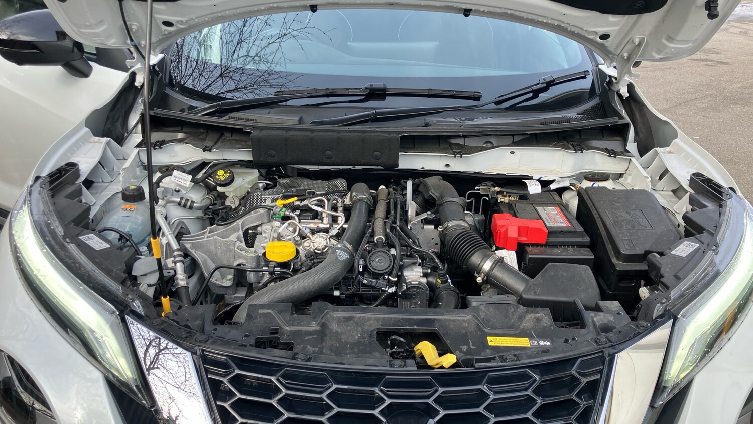 Used Nissan Juke 2025 for sale - 77973866: Photo 8