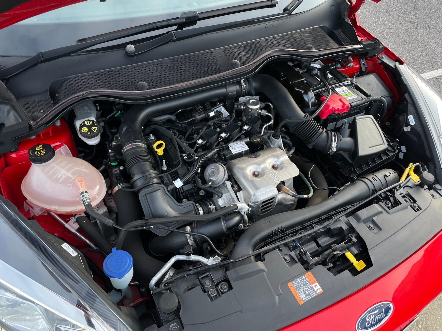 Used Ford Fiesta 2019 for sale - 77496904: Photo 35