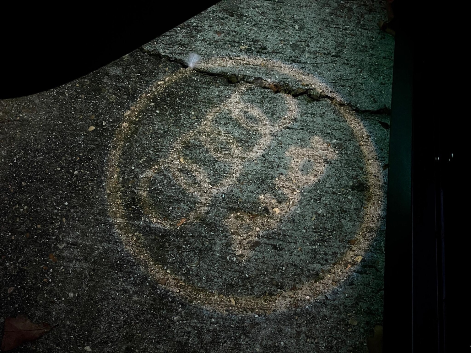 Used Audi A5 2020 for sale - 77612451: Photo 30