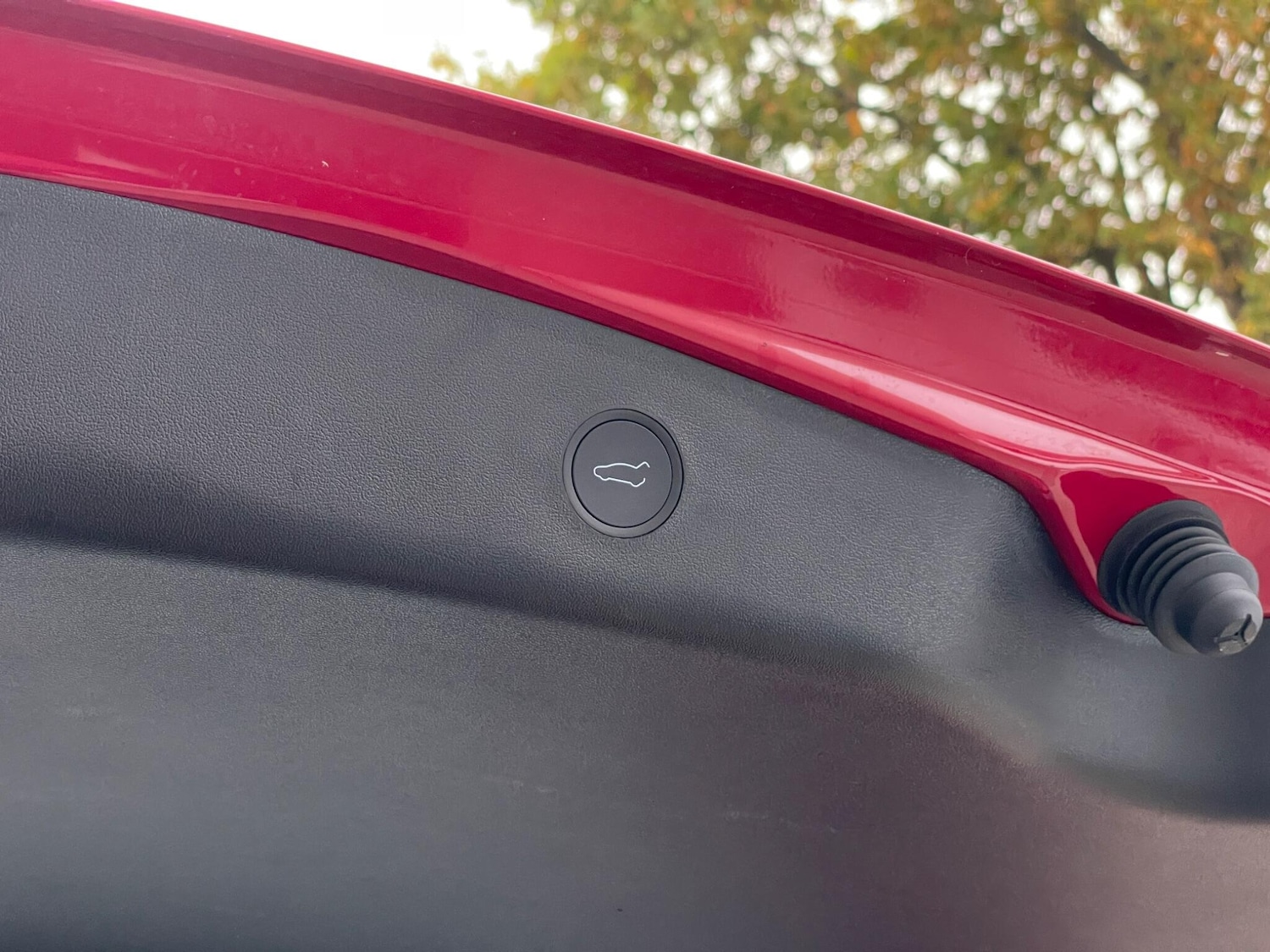 Used Tesla Model 3 for sale - 77029813: Photo 84