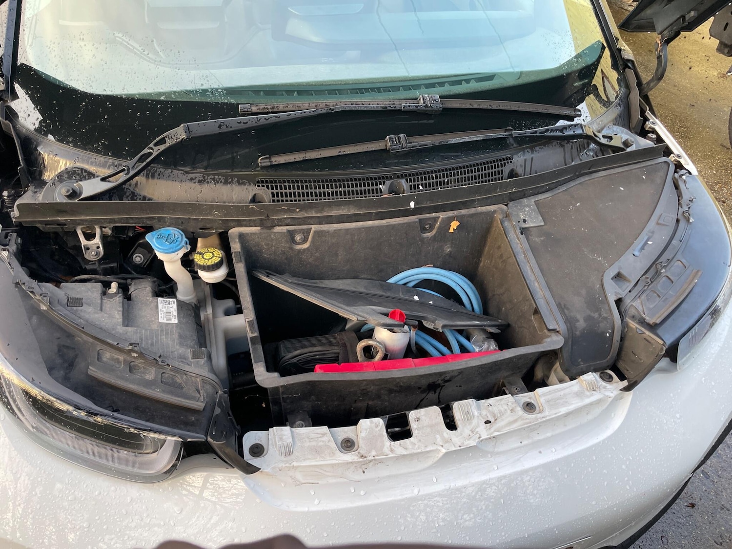 Used BMW i3 2018 for sale - 77468232: Photo 90