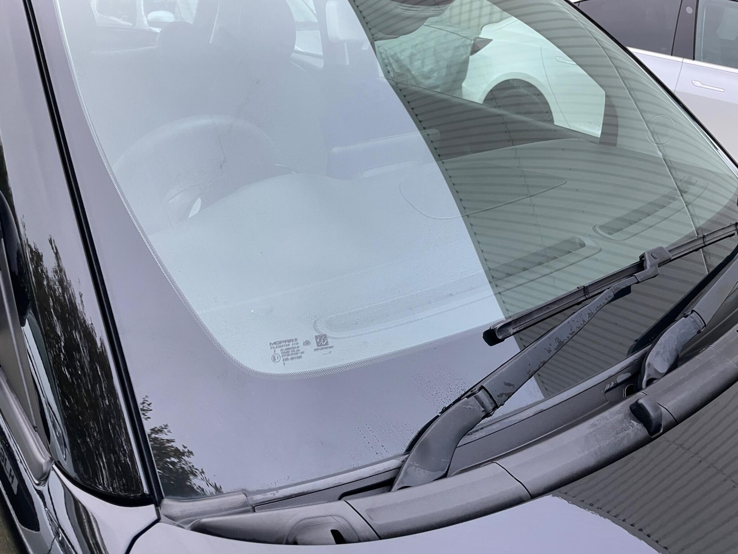 Used Fiat 500 2022 for sale - 76658846: Photo 51