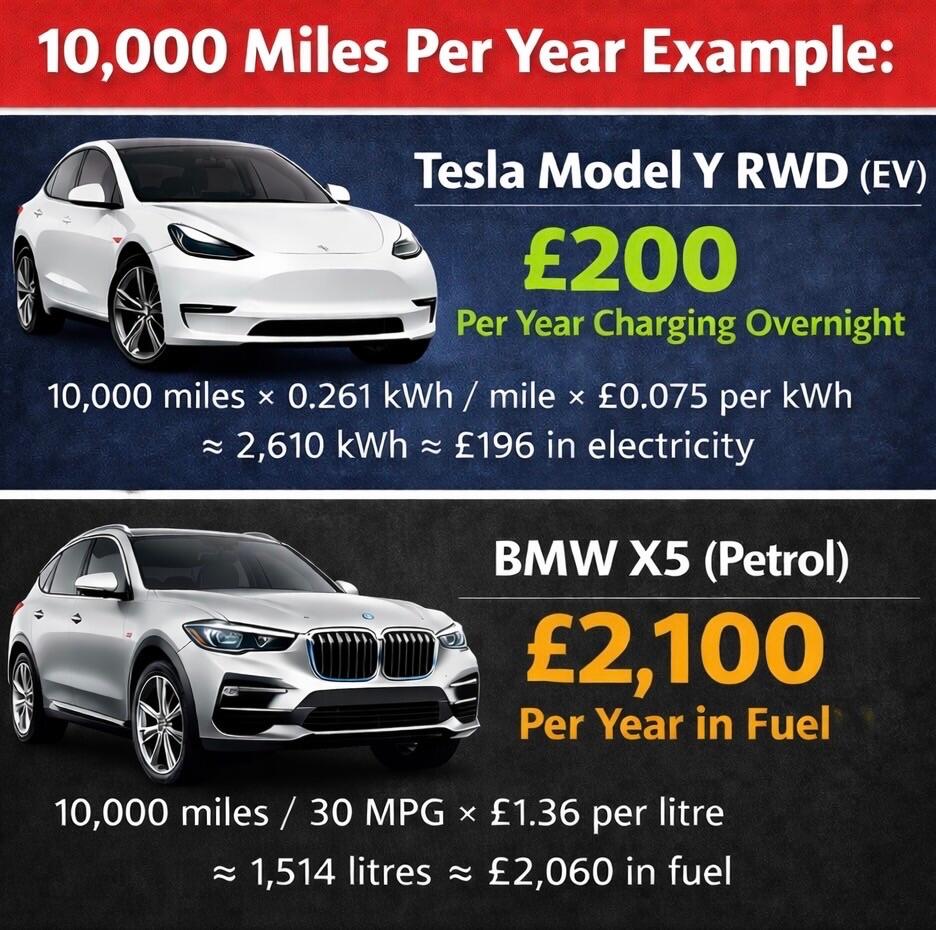 Used Tesla Model Y 2023 for sale - 77940520: Photo 11