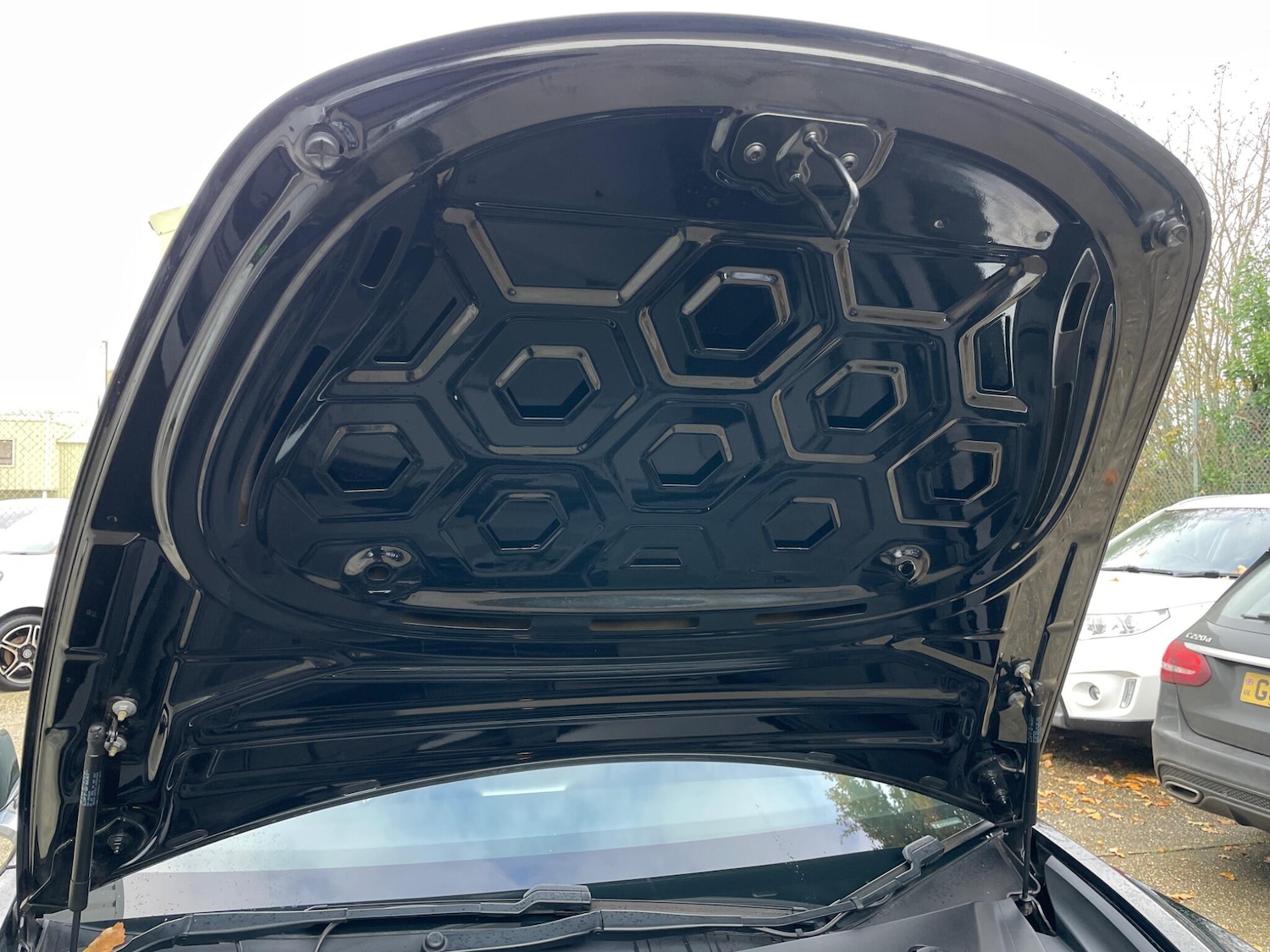 Used Tesla Model 3 2019 for sale - 76658421: Photo 96