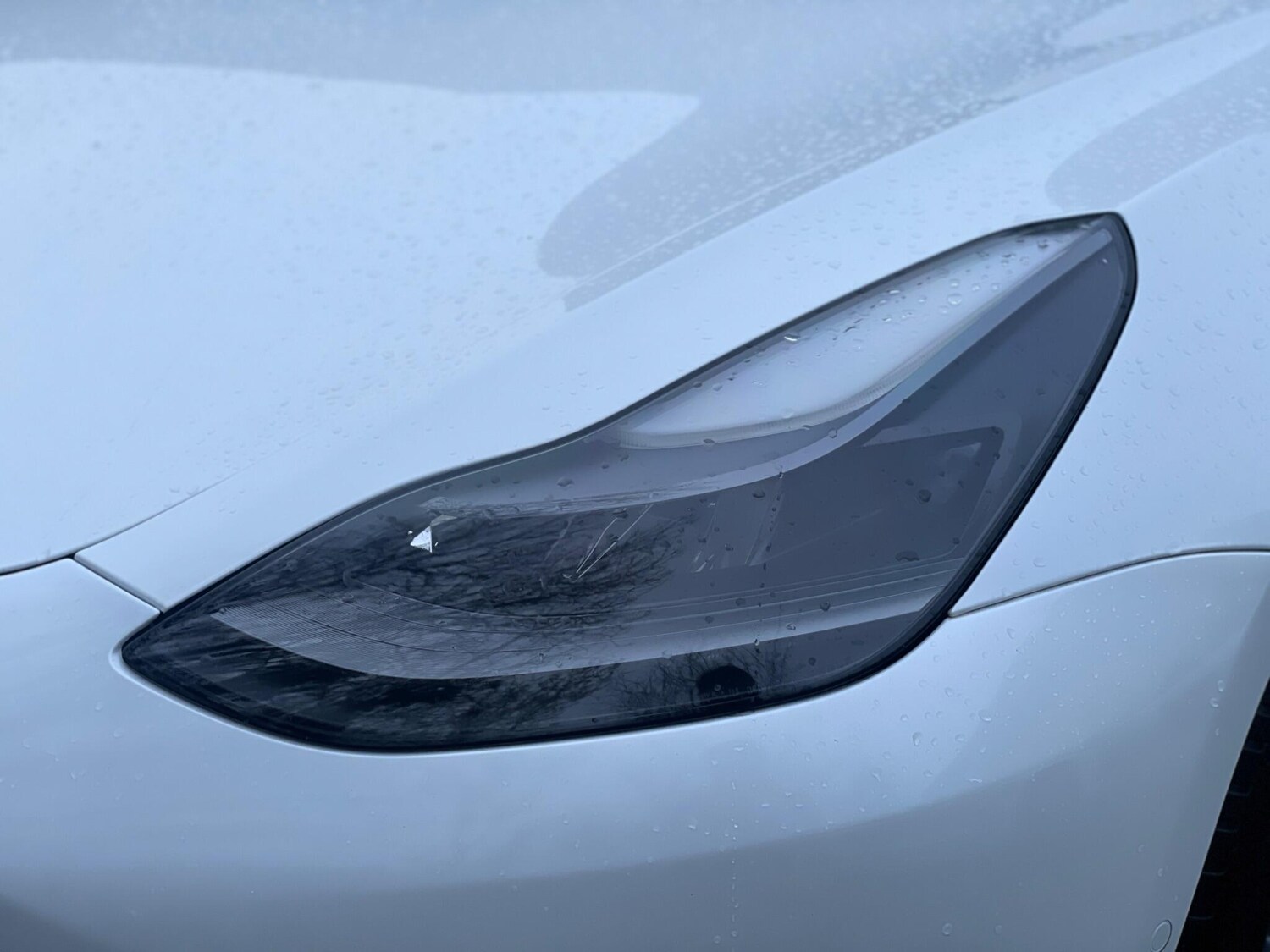 Used Tesla Model 3 2020 for sale - 78020119: Photo 74