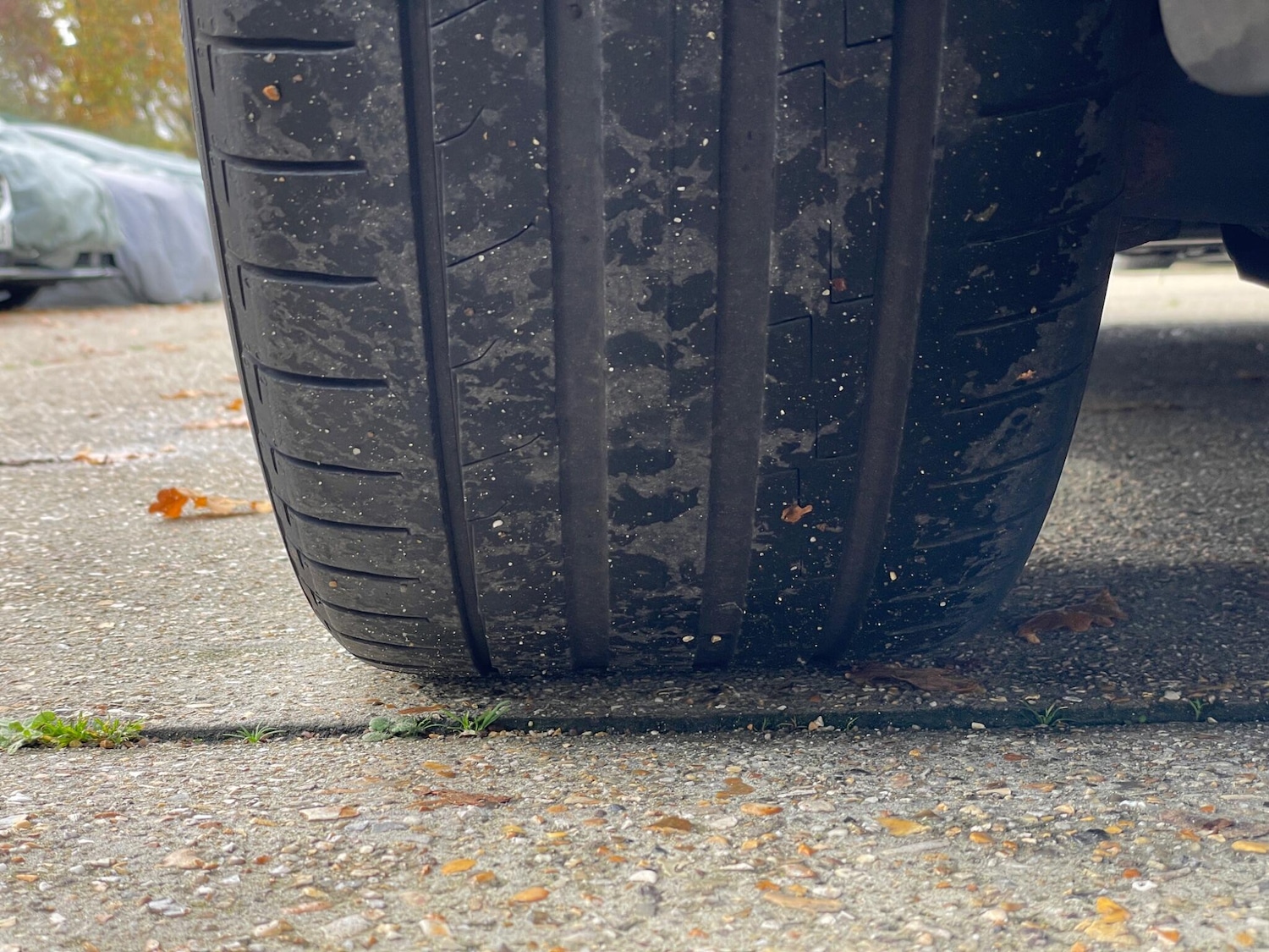 Used Tesla Model 3 2019 for sale - 76647637: Photo 57