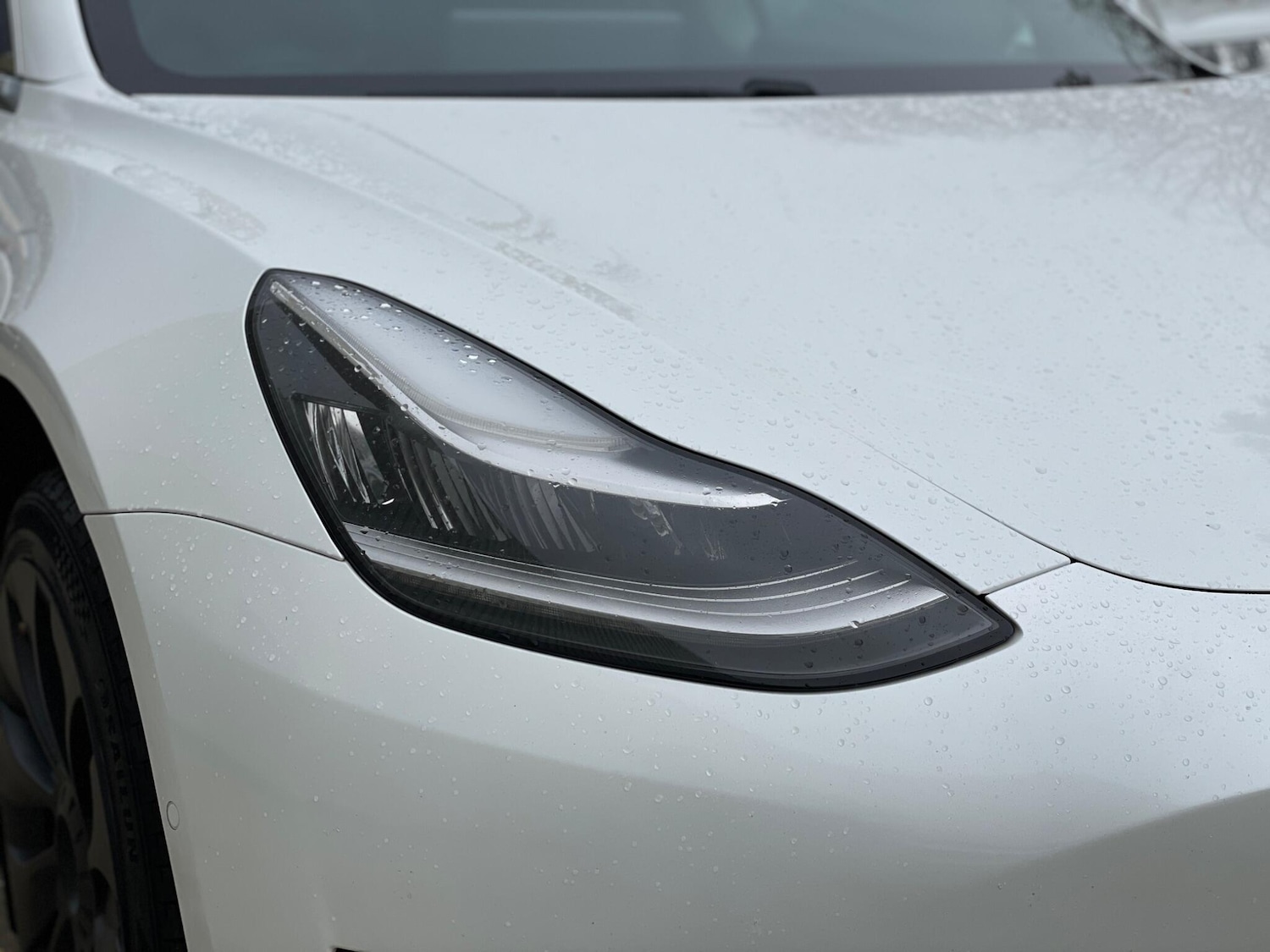 Used Tesla Model 3 2019 for sale - 76647637: Photo 66