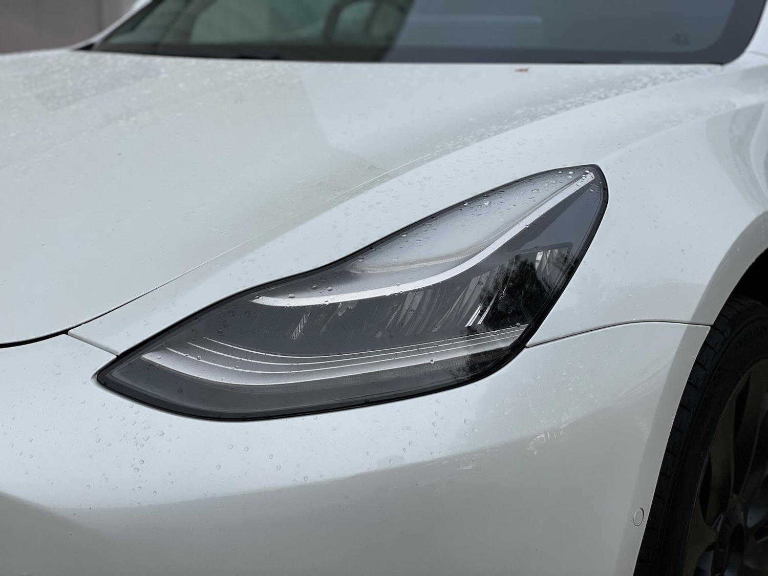 Used Tesla Model 3 2019 for sale - 76647637: Photo 70