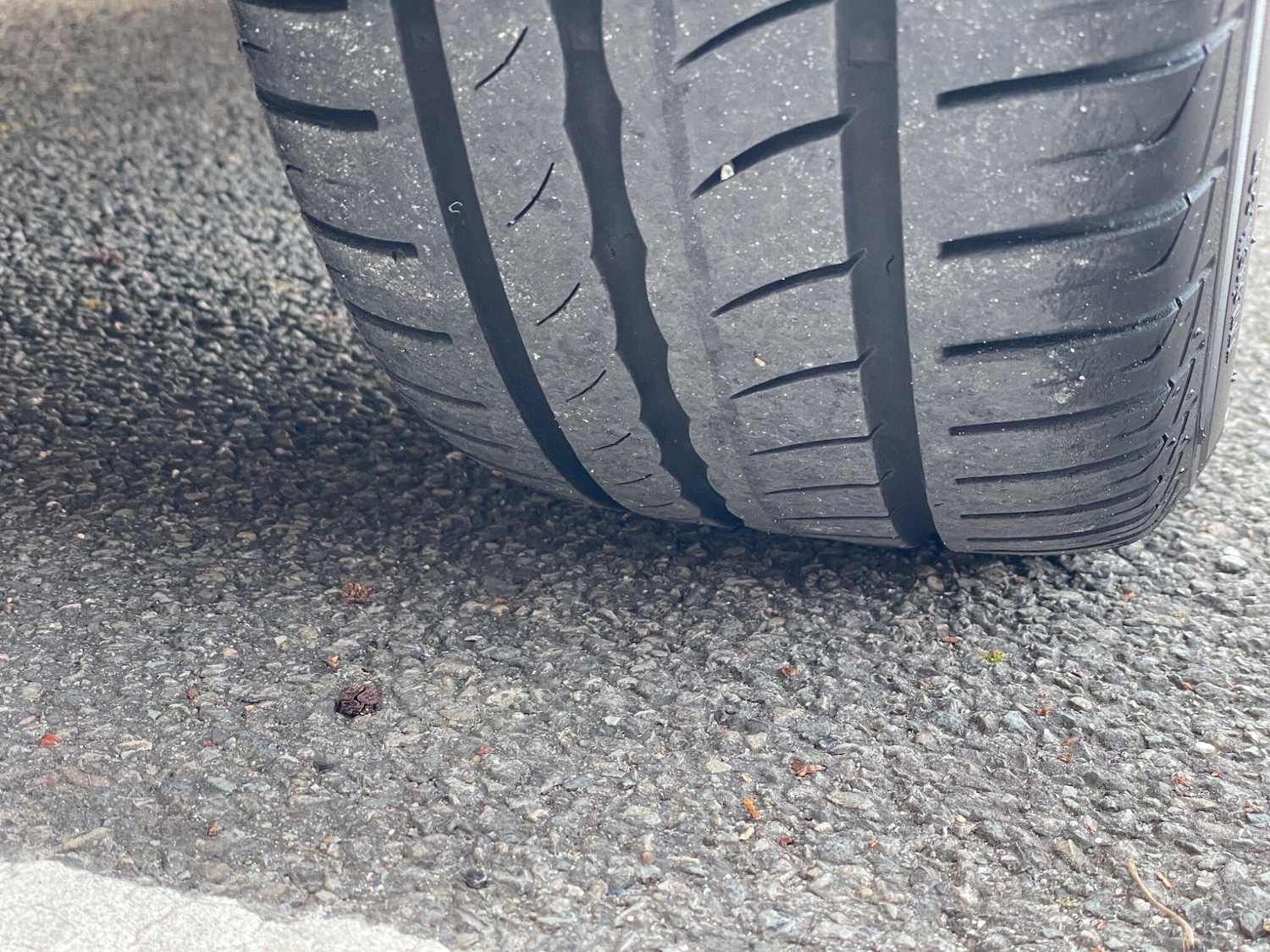 Used Ford Fiesta 2012 for sale - 77559677: Photo 51