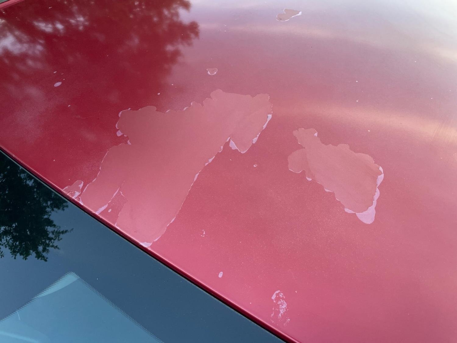 Used Citroen C4 2011 for sale - 76657071: Photo 22