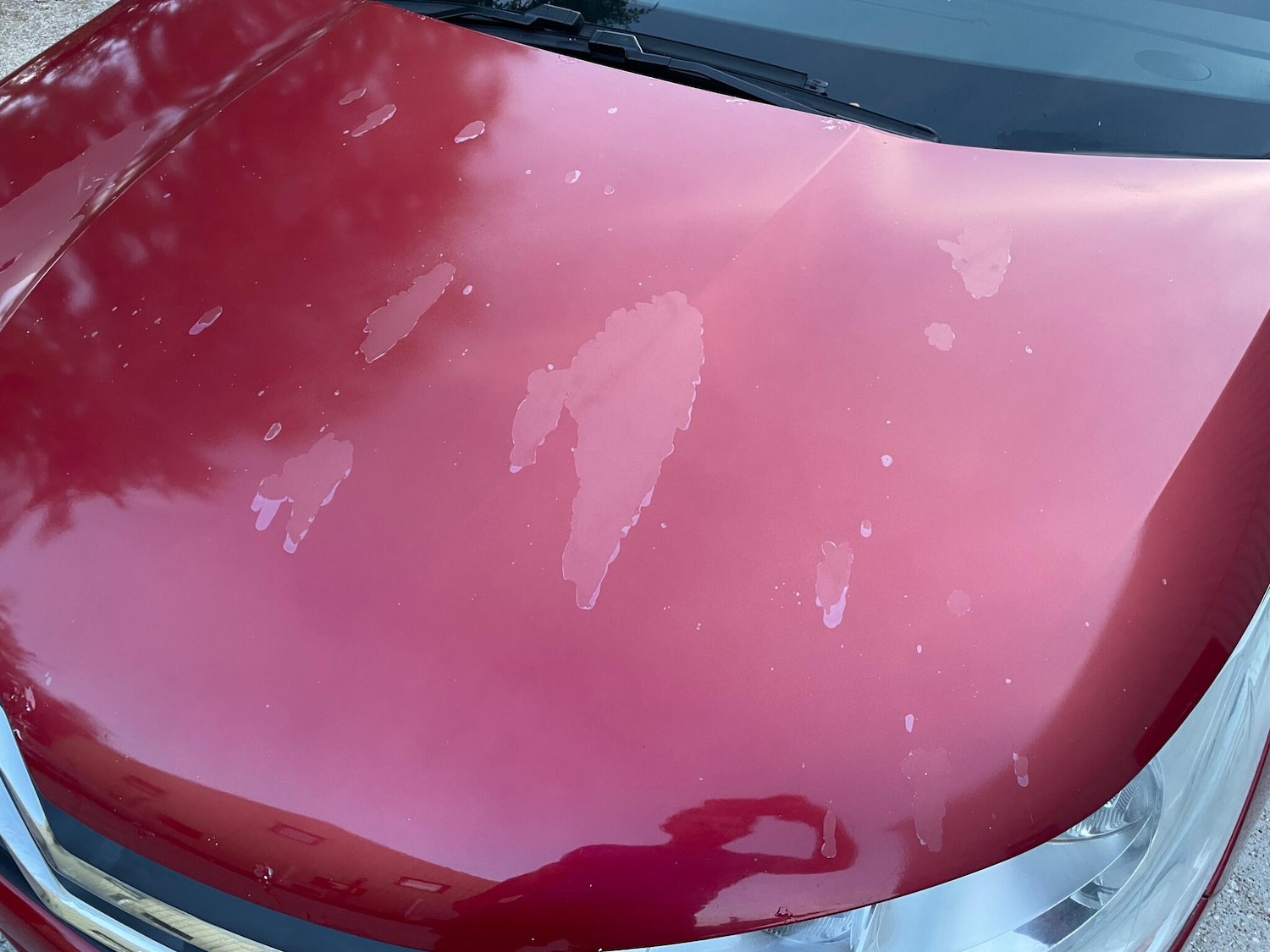 Used Citroen C4 2011 for sale - 76657071: Photo 28