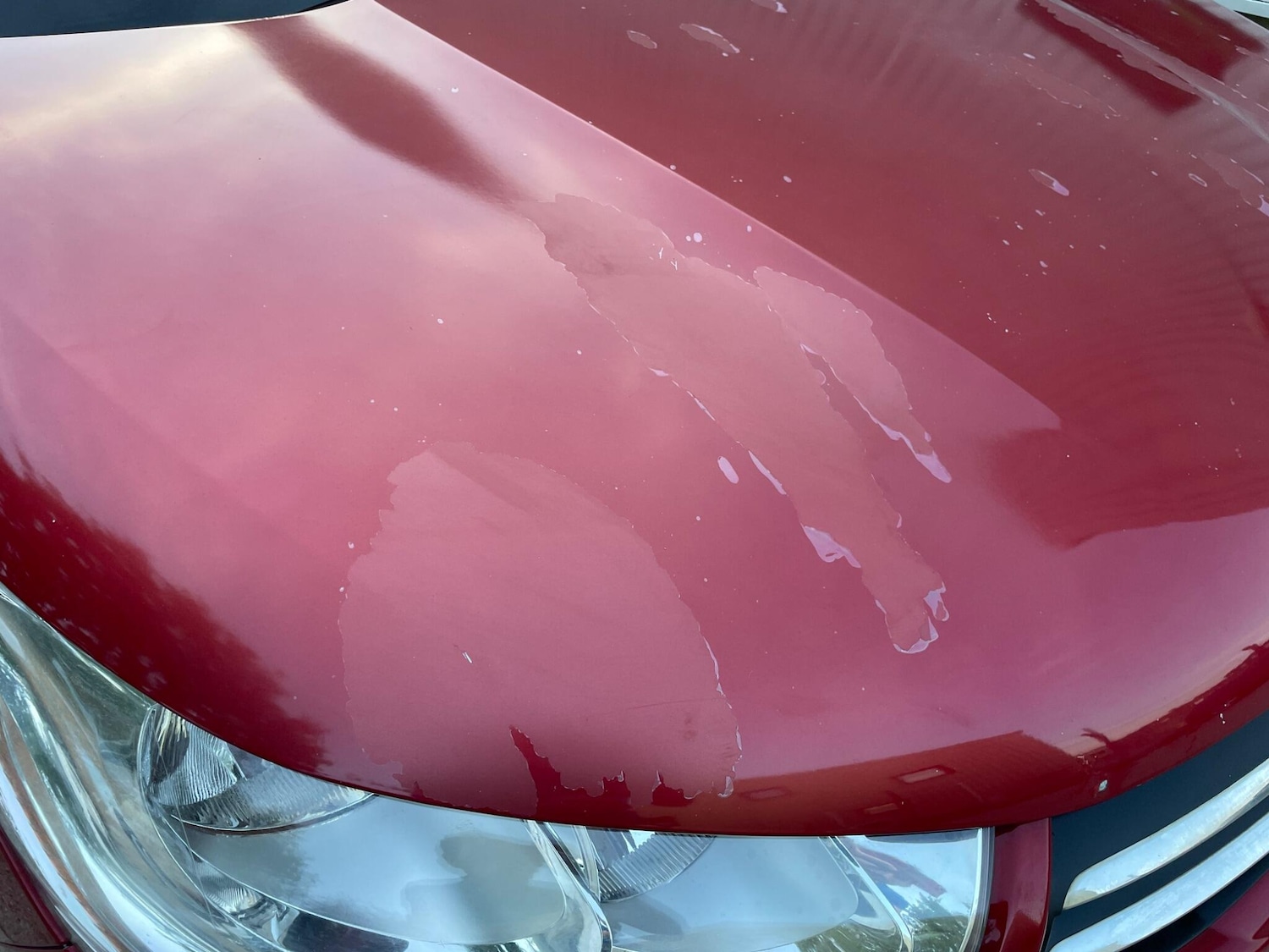 Used Citroen C4 2011 for sale - 76657071: Photo 29