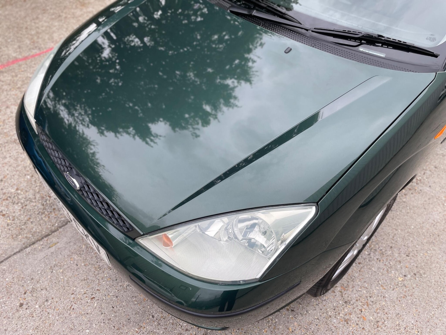 Used Ford Focus 2004 for sale - 76657331: Photo 43