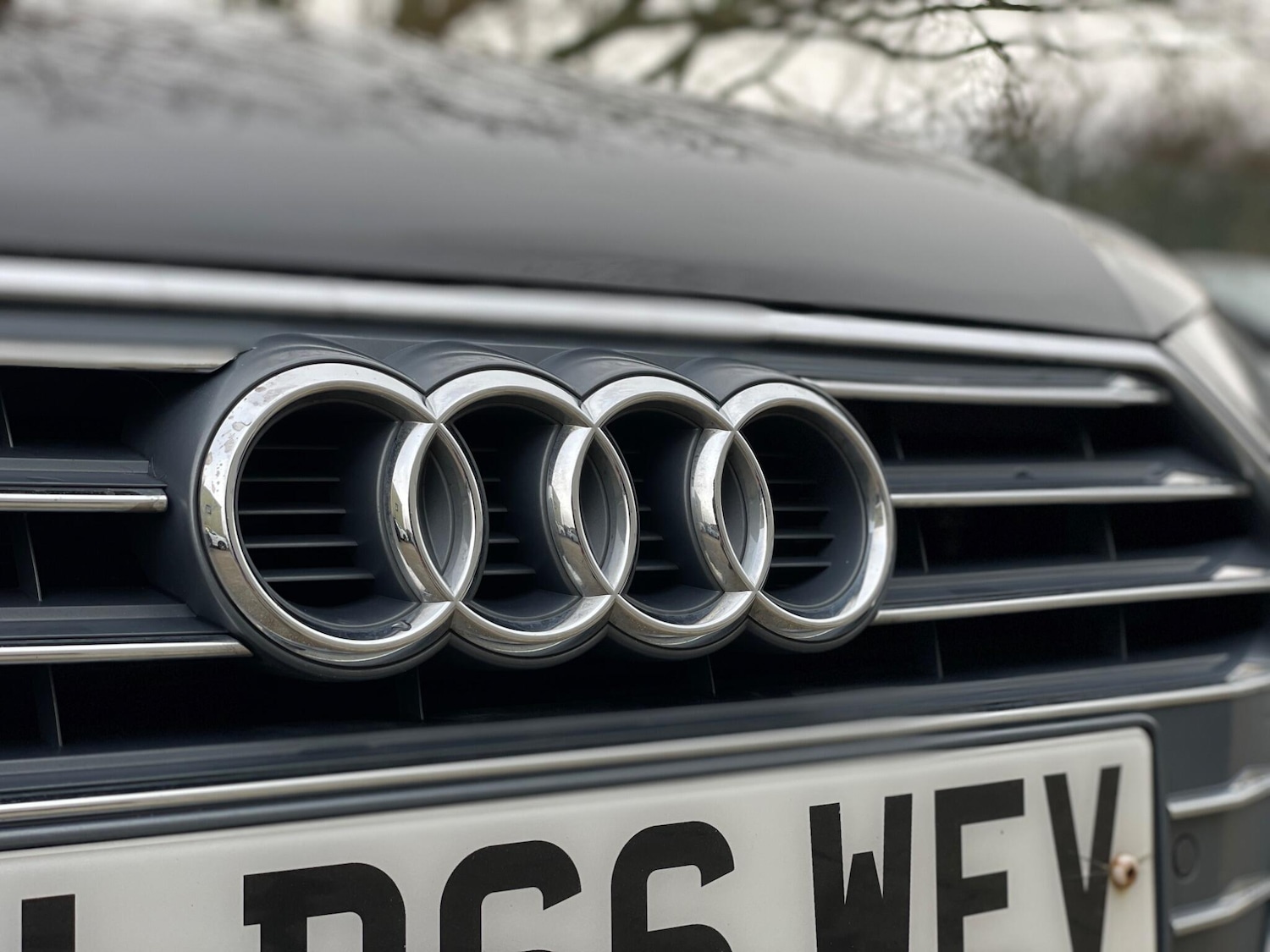 Used Audi A4 Avant 2016 for sale - 76992305: Photo 49