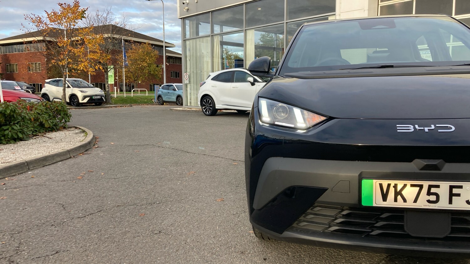 Used BYD Dolphin 2025 for sale - 76627887: Photo 35