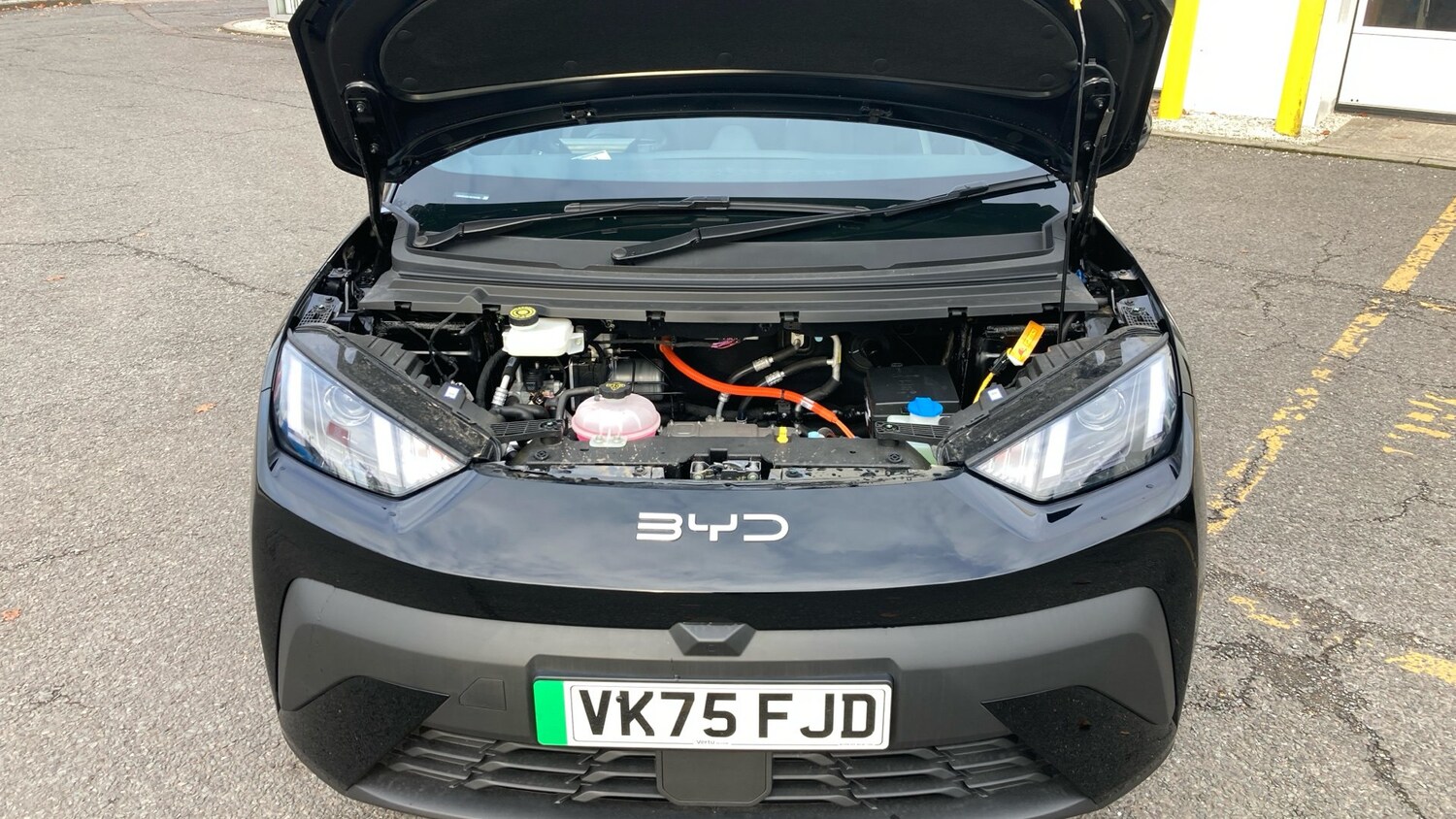 Used BYD Dolphin 2025 for sale - 76627887: Photo 8