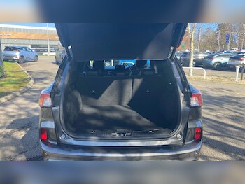 Used Ford Kuga 2023 for sale - 77930517: Photo