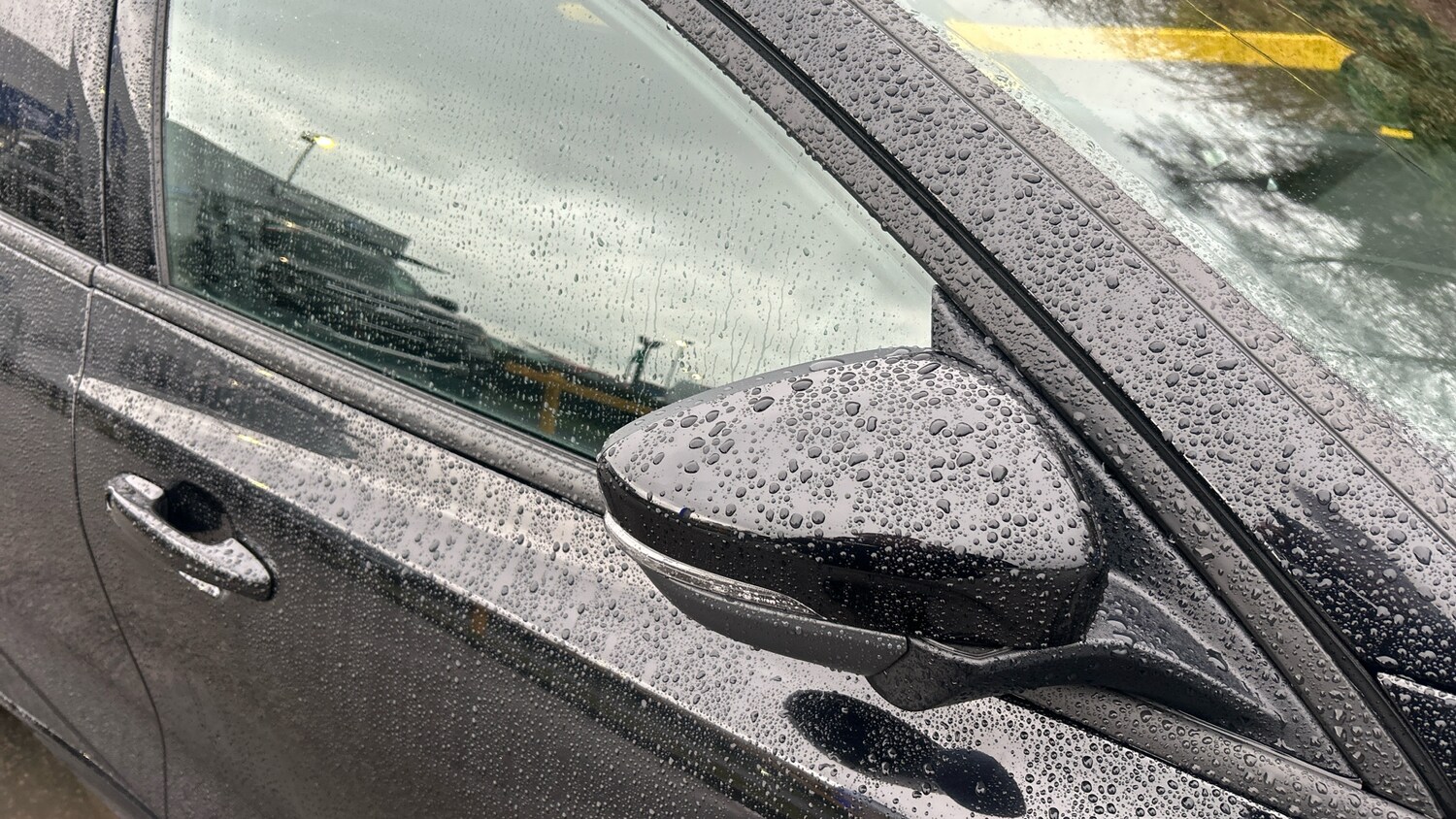 Used Ford Focus 2024 for sale - 77590298: Photo 22