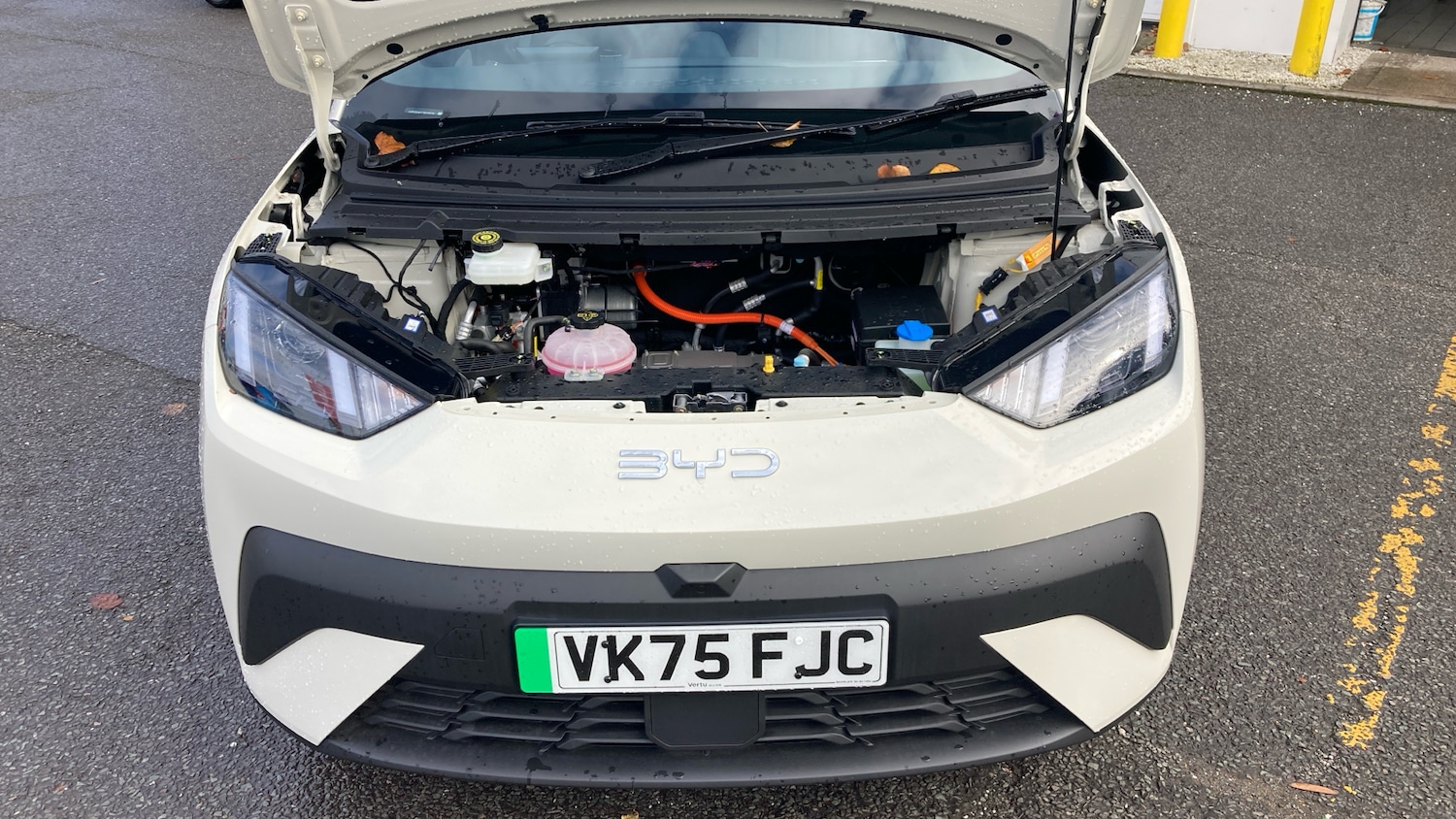 Used BYD Dolphin 2025 for sale - 76368979: Photo 8