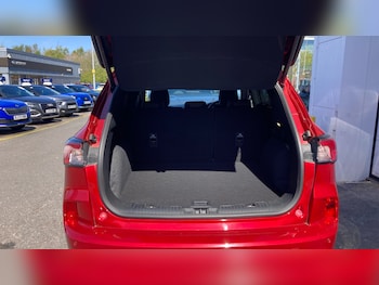 Used Ford Kuga 2023 for sale - 78357062: Photo