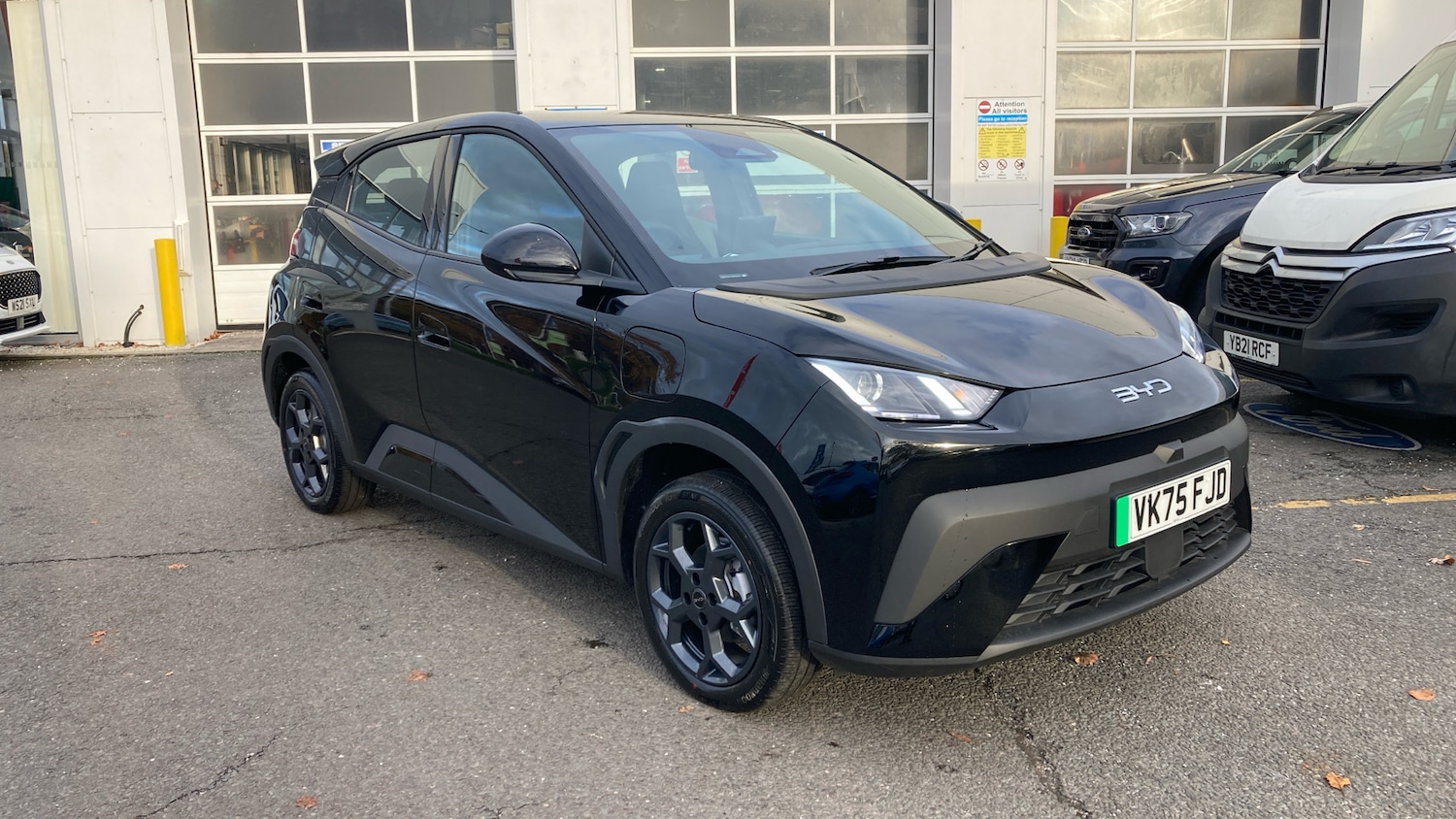 Used BYD Dolphin 2025 for sale - 76476374: Photo 36