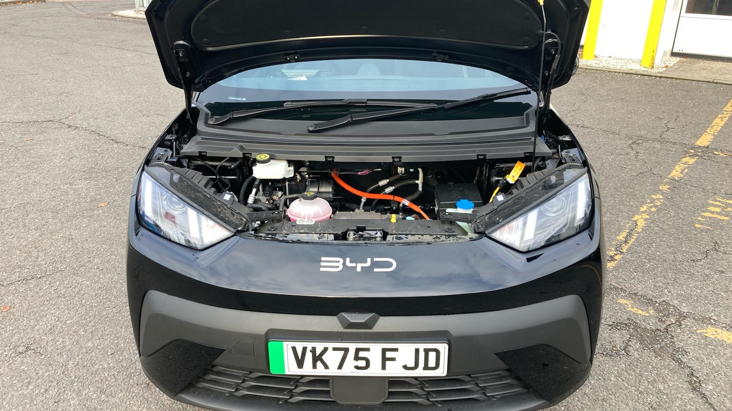 Used BYD Dolphin 2025 for sale - 76476374: Photo 8