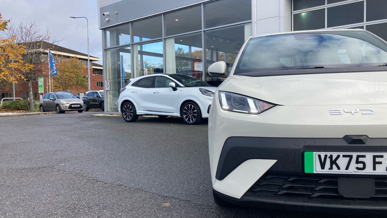 Used BYD Dolphin 2025 for sale - 76476375: Photo 22