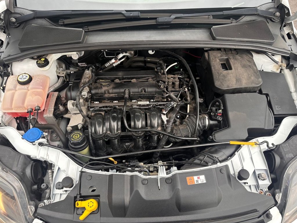 Used Ford Focus 2013 for sale - 76910438: Photo 24