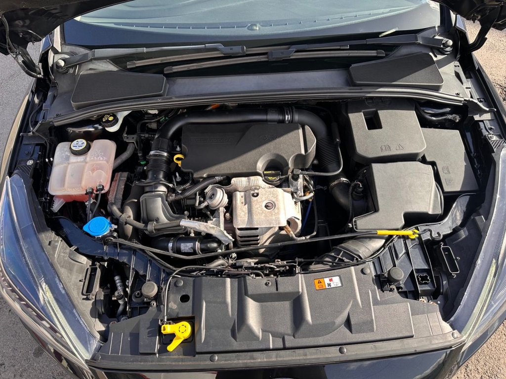 Used Ford Focus 2015 for sale - 78044791: Photo 22