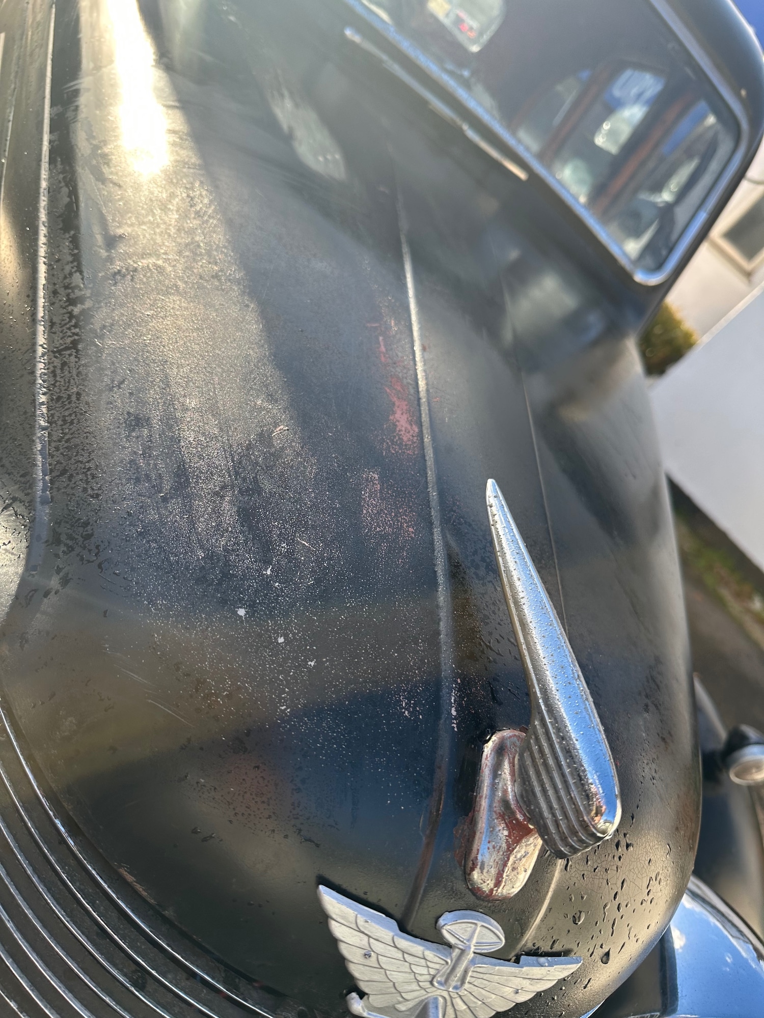 Used Austin 8 1984 for sale - 76770295: Photo 9