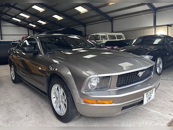 Used Ford Mustang 2004 for sale - 77356793: Photo