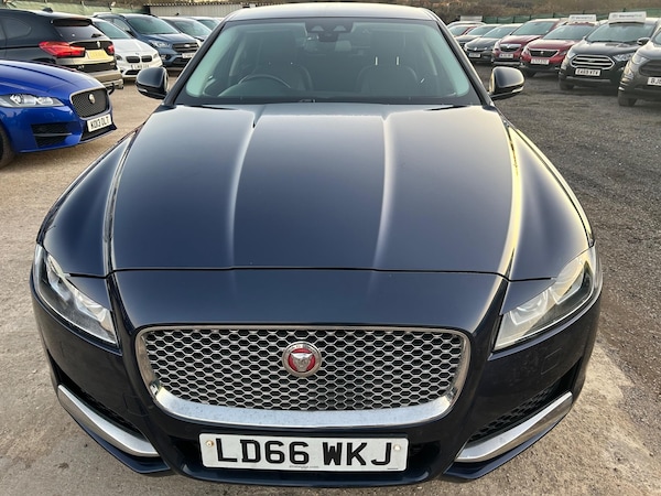 Used Jaguar XF 2016 for sale - 73853423: Photo 7