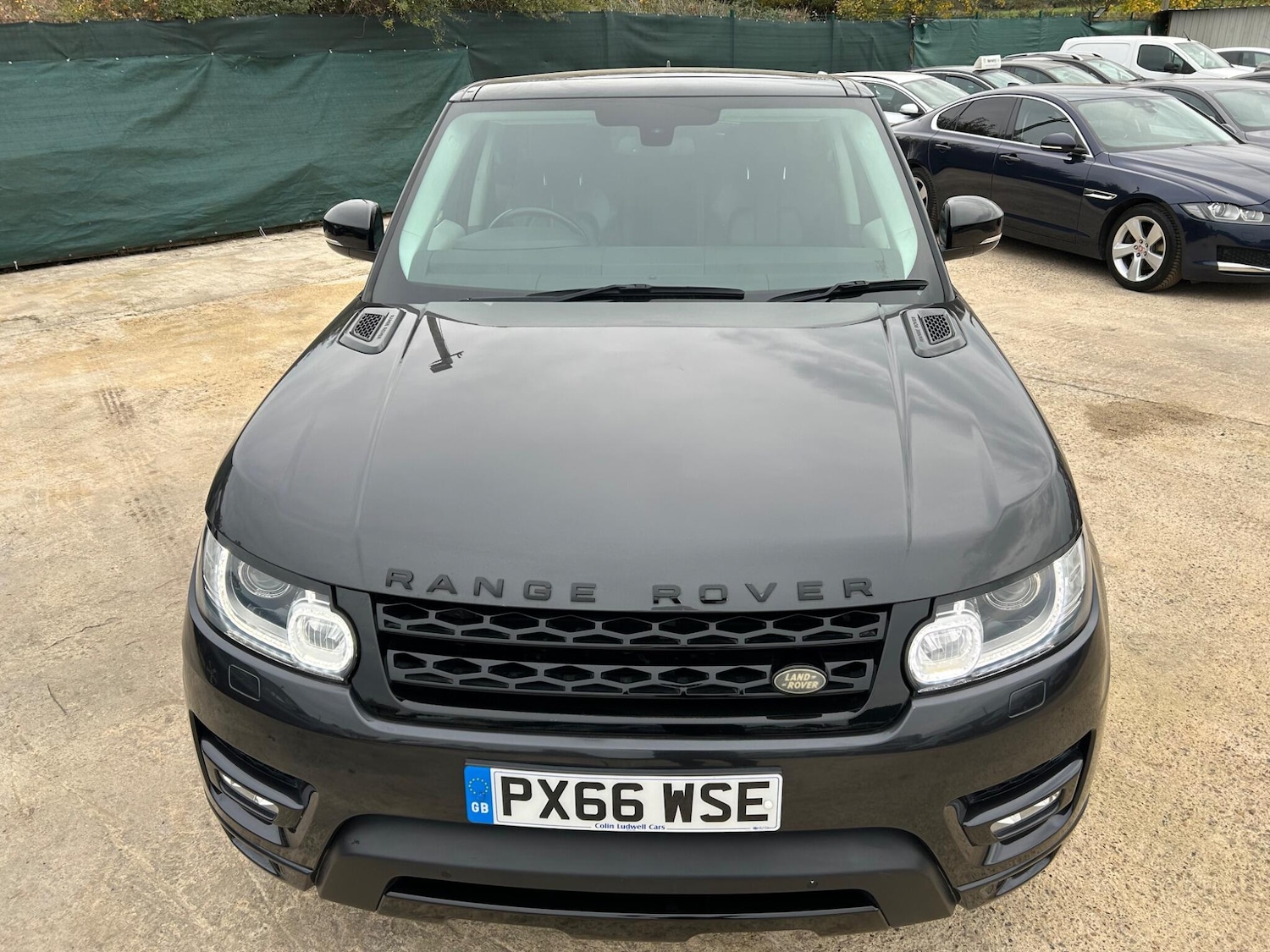 Used Land Rover Range Rover Sport 2016 for sale - 76311793: Photo 8