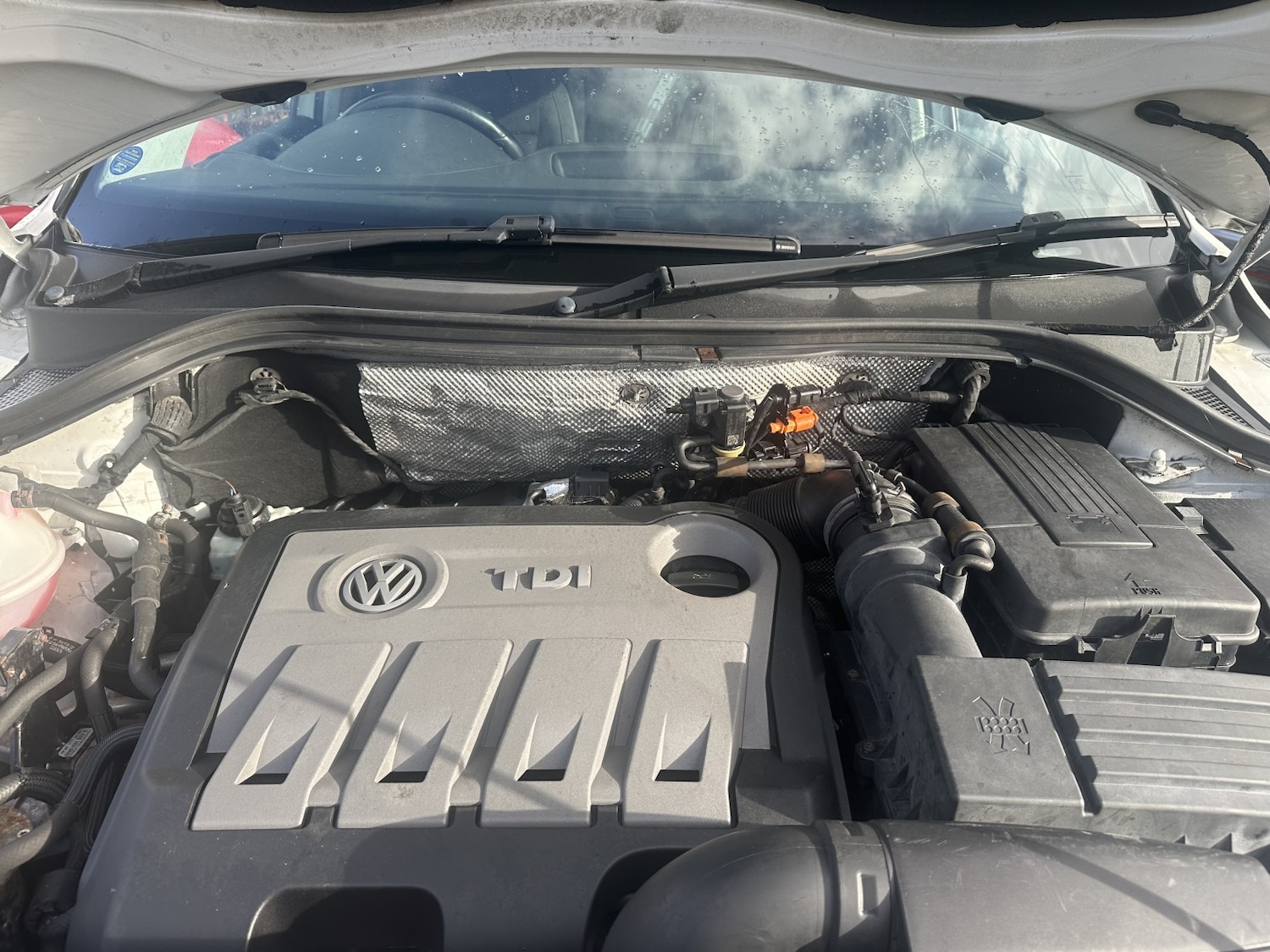 Used Volkswagen Tiguan 2011 for sale - 76436362: Photo 18