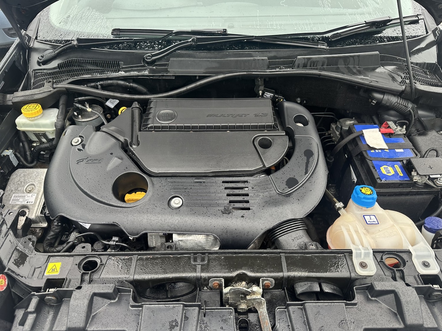 Used Fiat Punto 2013 for sale - 77478173: Photo 15