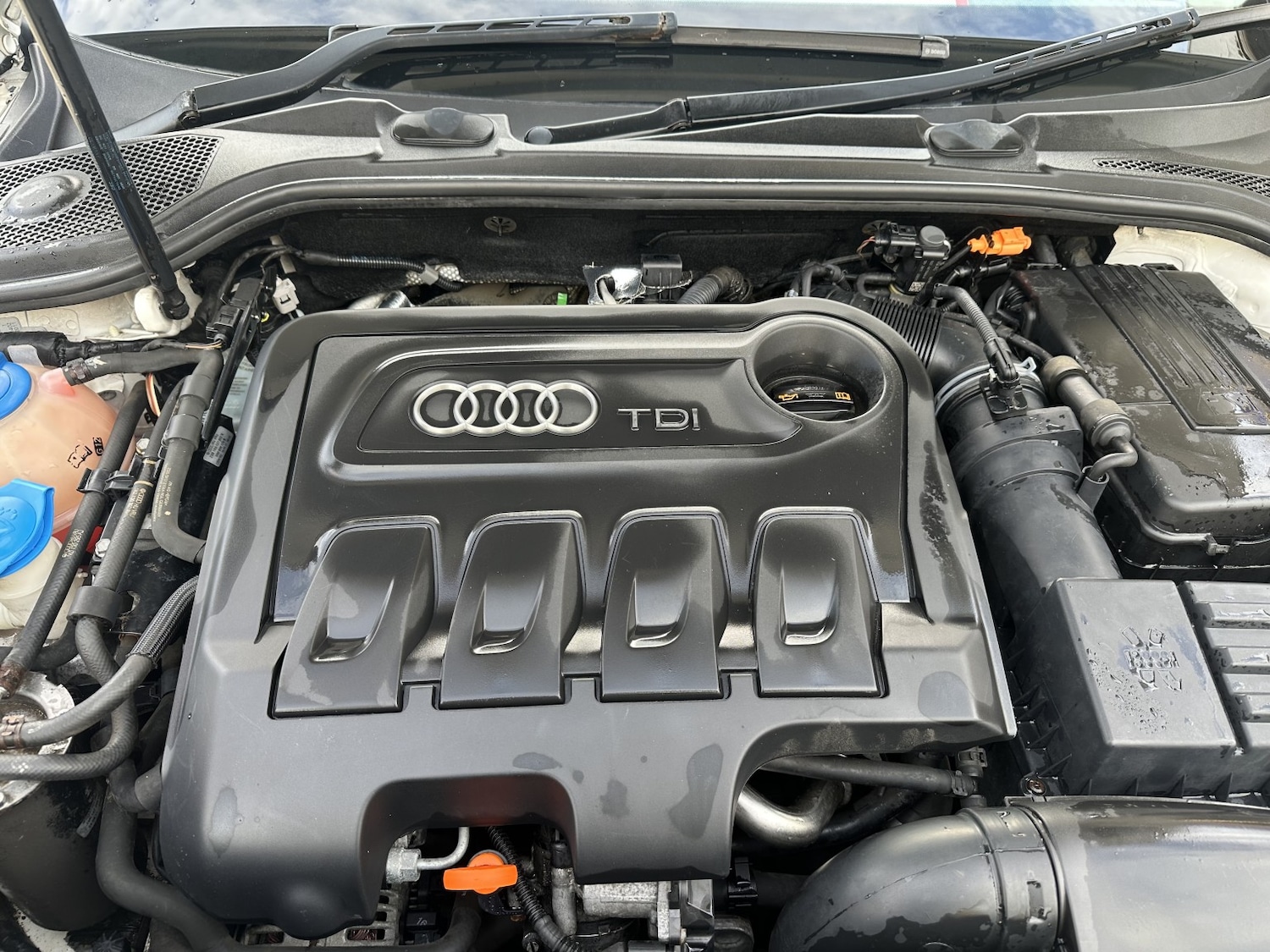 Used Audi A3 2011 for sale - 77709096: Photo 16