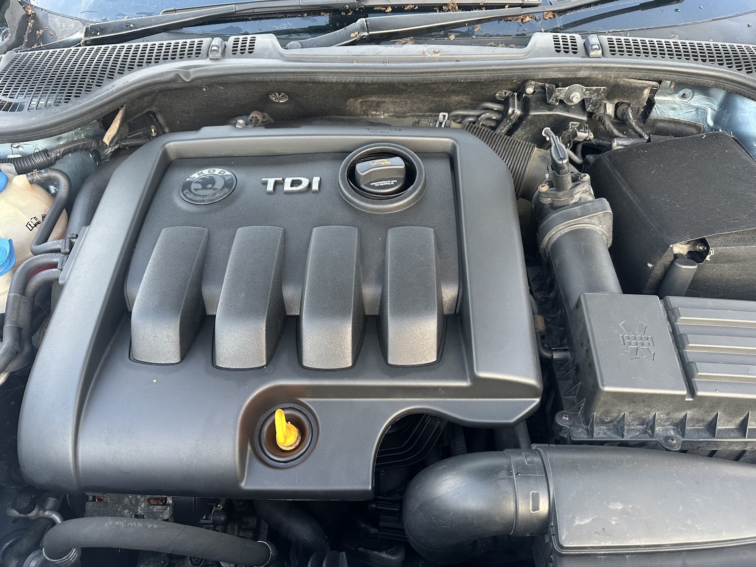 Used Skoda Octavia 2010 for sale - 76579995: Photo 14