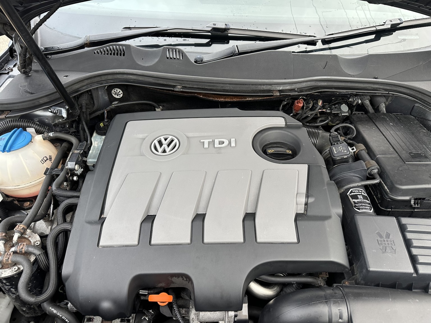 Used Volkswagen Passat 2010 for sale - 76877554: Photo 15