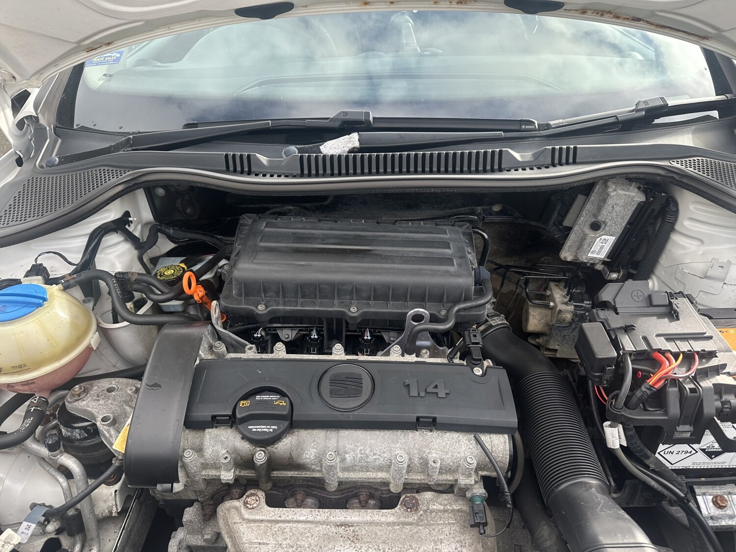 Used SEAT Ibiza 2013 for sale - 77906437: Photo 17