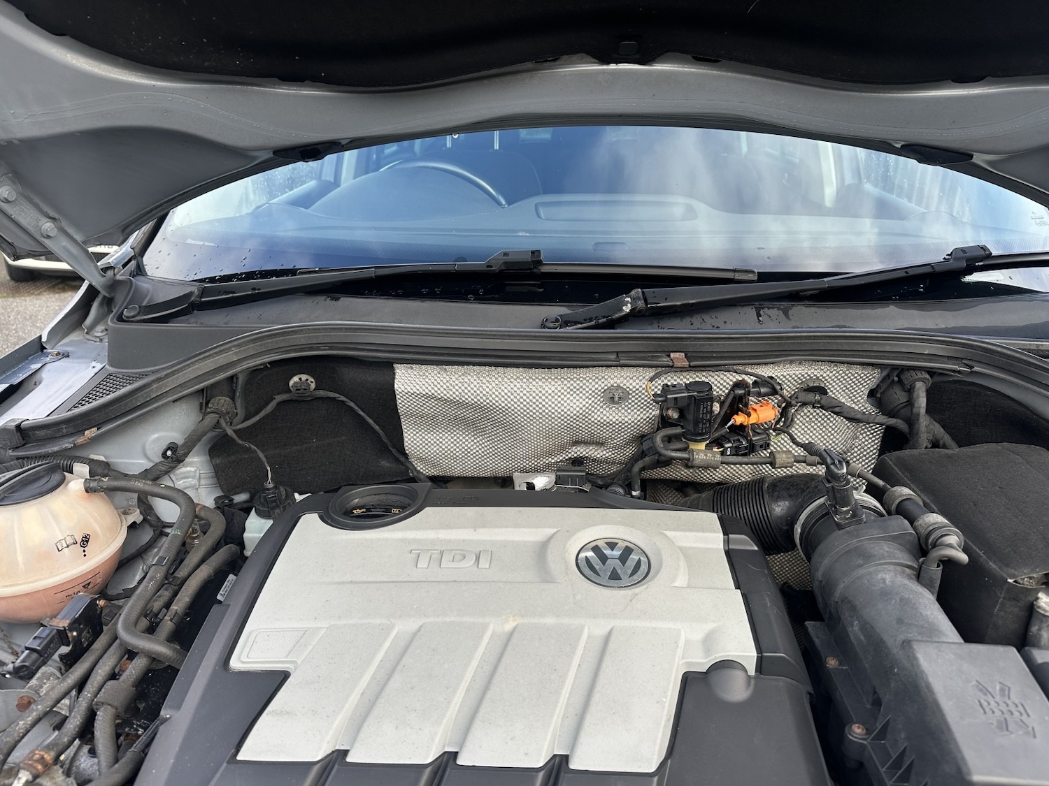 Used Volkswagen Tiguan 2009 for sale - 76387314: Photo 19