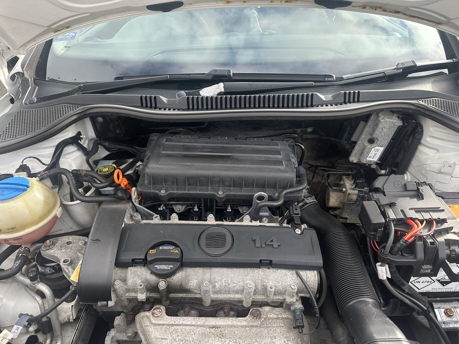 Used SEAT Ibiza 2013 for sale - 77709028: Photo 17