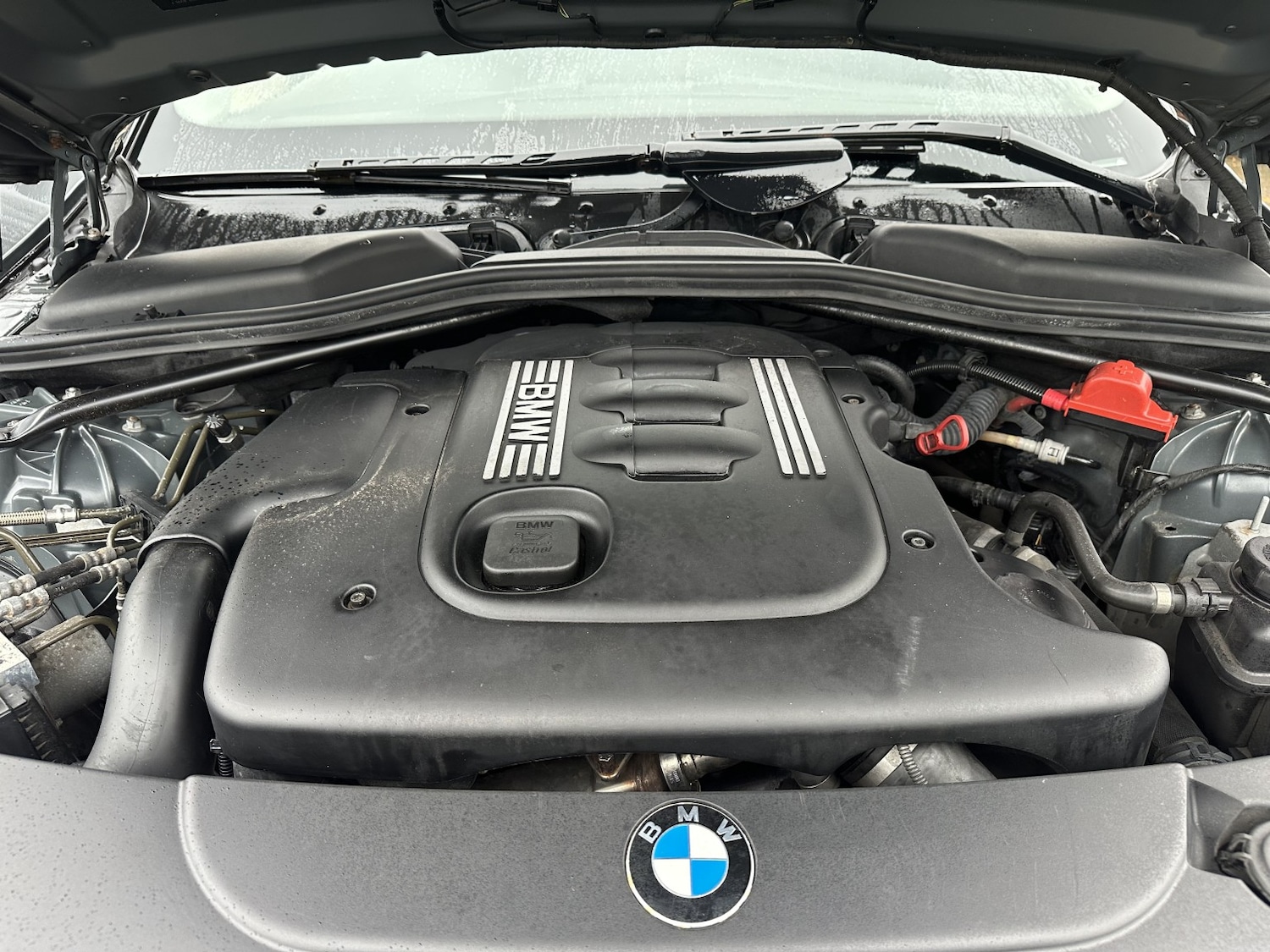 Used BMW 5 Series 2006 for sale - 76504700: Photo 16