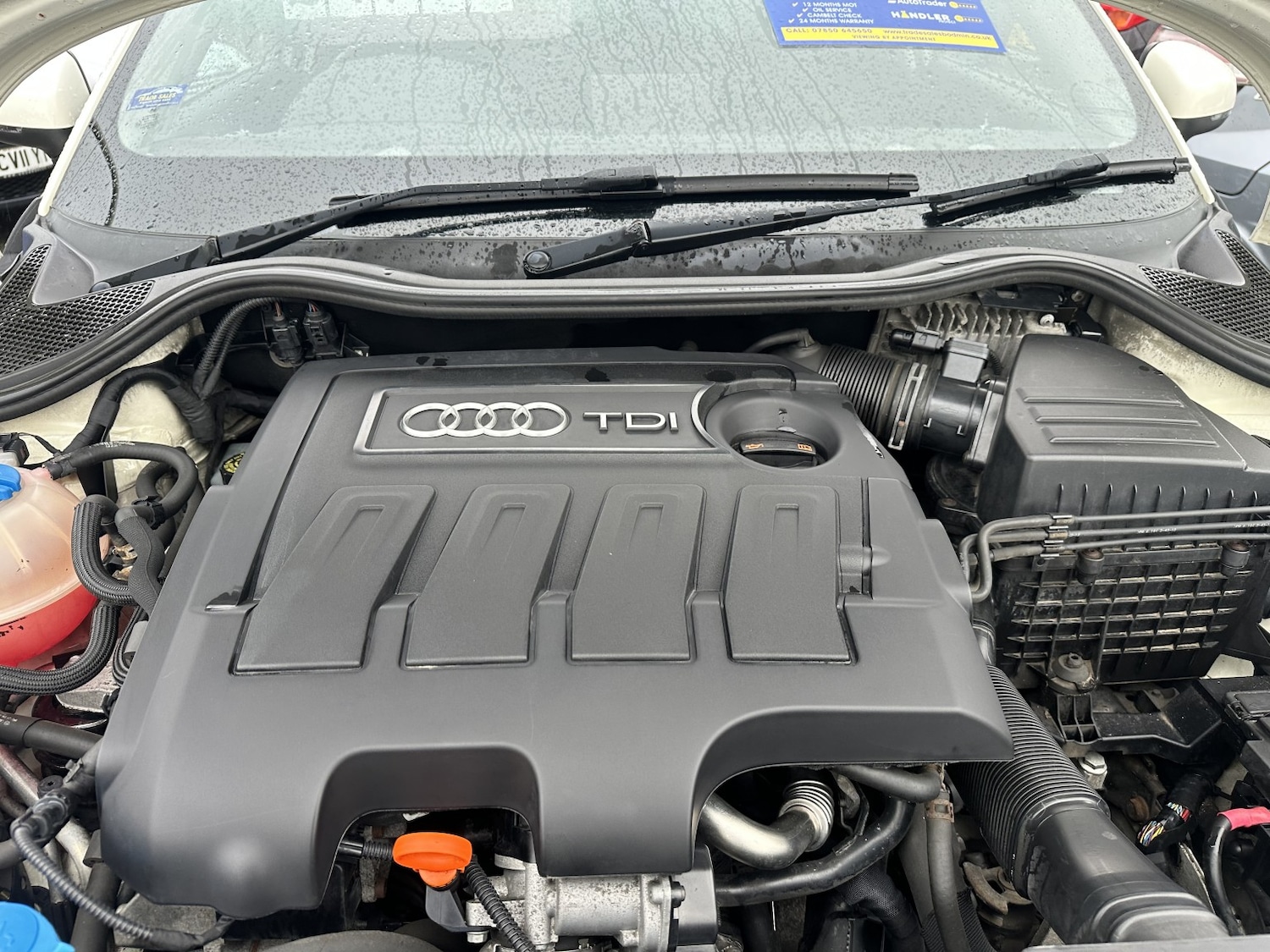 Used Audi A1 2013 for sale - 77864890: Photo 16