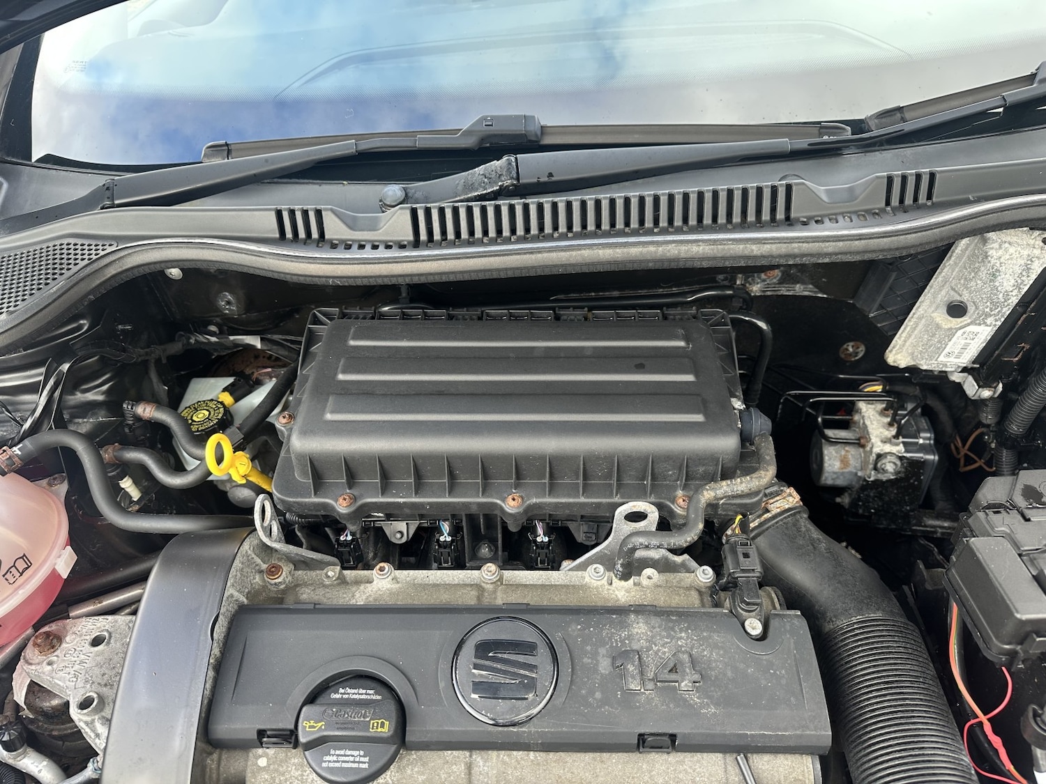 Used SEAT Ibiza 2014 for sale - 76793693: Photo 14