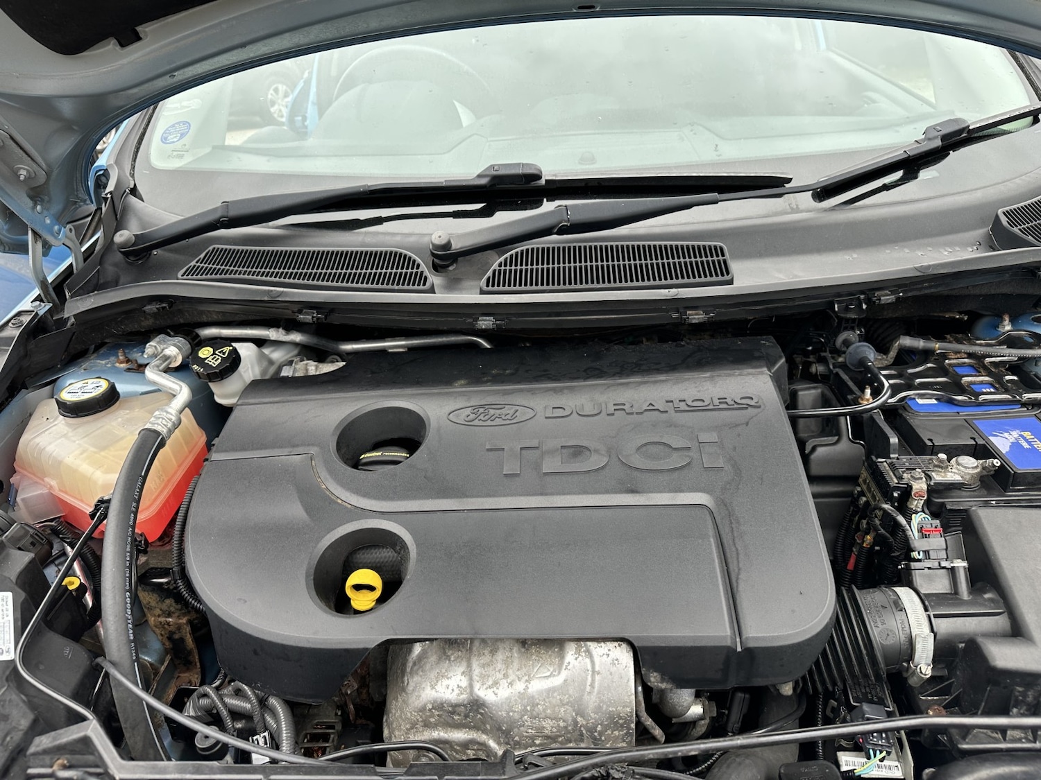 Used Ford Fiesta 2011 for sale - 76387281: Photo 15