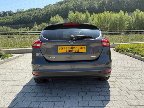 Used Ford Focus 2015 for sale - 75561654: Photo 6